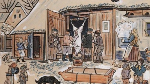 Tradiční zabijačka: slavnost i dřina